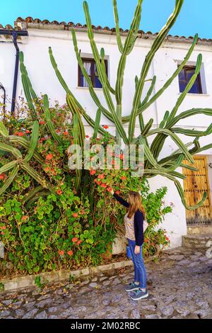 Femme touchant un cactus géant sur la façade d'une maison andalouse à Cadix, Espagne. Banque D'Images