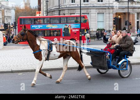 Westminster, Londres, Royaume-Uni. 3rd décembre 2022. Un certain nombre de poney et de pièges ont conté la ville de Westminster, passant par le trafic de Trafalgar Square. Événement intitulé The London Christmas Horse Drive, of Gitans, Travellers and Visitors from all the UK. Les manèges sont cités comme étant pour la charité. Banque D'Images