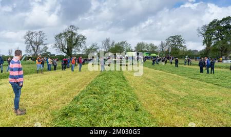 Les agriculteurs qui assistent à Scotgrass, un événement sur les prairies où les agriculteurs peuvent se pencher sur les dernières technologies en matière d'équipement d'ensilage. Dumfries, Royaume-Uni. Banque D'Images