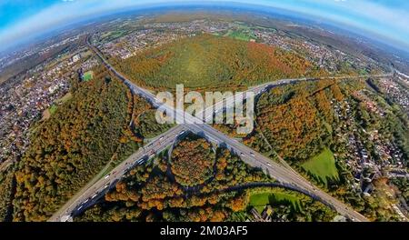 Vue aérienne, sortie d'autoroute Oberhausen, autoroute A2 et autoroute A3, forêt de Sterkrader aux couleurs d'automne, tir au poisson, prise de vue à 360 degrés, Alsfeld, Oberh Banque D'Images