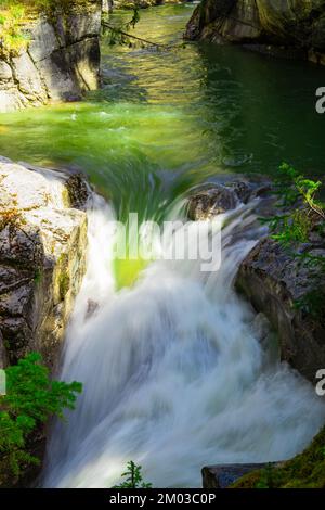 Cascade sur le ruisseau de montagne dans la forêt. Cliqué au Canada. Banque D'Images