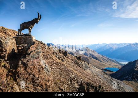 Ibex au-dessus de la chaîne de montagnes Piz Nair avec lac dans les Alpes, Engadine, Suisse Banque D'Images