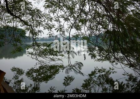 Arbres suspendus en face du lac Hoan Kiem Hanoi Vietnam Banque D'Images