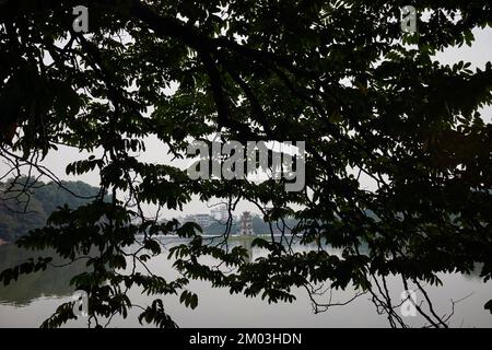 Arbres suspendus en face du lac Hoan Kiem Hanoi Vietnam Banque D'Images