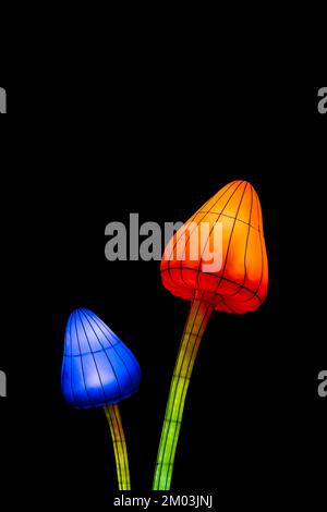 Vue sur une installation légère de champignons de la fée isolés sur fond noir. Figurines en papier de champignons psychédéliques qui brillent dans l'obscurité Banque D'Images