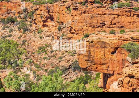 Surplomb de la formation rocheuse au-dessus de la gorge de Murchison River appelée Hawk's Head dans le parc national de Kalbarri, en Australie. Banque D'Images