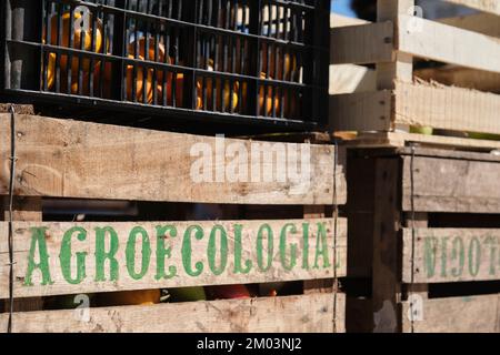 Caisses de fruits et légumes biologiques avec le mot Agroécologie écrit sur eux, sur un stand de vente extérieur. Banque D'Images