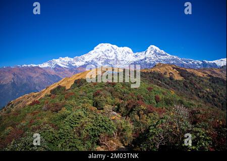 Vue panoramique sur la montagne sud d'Annapurna dans l'Himalaya, au Népal Banque D'Images