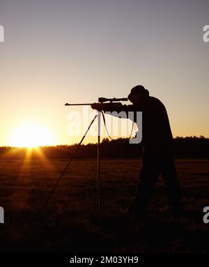 Le jeune oiseau obtient le ver. Une silhouette d'un homme visant avec son fusil qui est tenu par un trépied à l'extérieur au lever du soleil. Banque D'Images