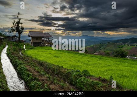 PAH Bong Pieng rizière terrasses une destination touristique célèbre pendant la saison de plantation, Chiang Mai, Thaïlande Banque D'Images