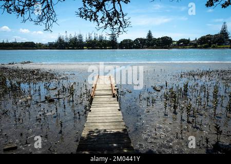 Jetée, estuaire d'Orewa, Auckland, Île du Nord, Nouvelle-Zélande Banque D'Images