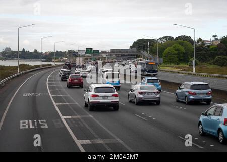 Trafic sur autoroute avec voie de bus claire, North Shore, Auckland, Île du Nord, Nouvelle-Zélande Banque D'Images