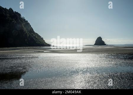 WAIWera Beach et île, ou rockstack, Orewa, Auckland, Île du Nord, Nouvelle-Zélande Banque D'Images