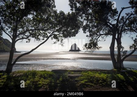 WAIWera Beach et île, ou rockstack, Orewa, Auckland, Île du Nord, Nouvelle-Zélande Banque D'Images