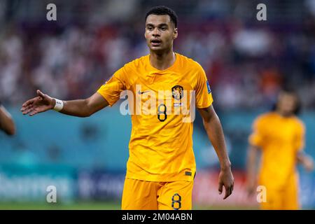 Al Rajjan, Qatar. 03rd décembre 2022. Football: Coupe du monde, pays-Bas - Etats-Unis, finale, ronde de 16, Stade international de Chalifa, Les gestes de Cody Gakpo aux pays-Bas. Crédit : Tom Weller/dpa/Alay Live News Banque D'Images