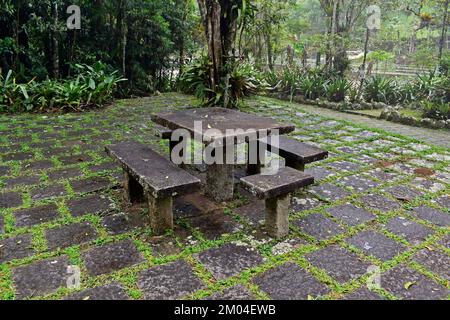 Table vide et bancs dans le parc public de Teresopolis, Rio de Janeiro, Brésil Banque D'Images