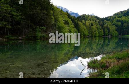 Eaux vert émeraude du lac Alatsee à Fuessen, Bavière avec les Alpes bavaroises enneigées reflétées dans l'eau verte et la forêt de sources verdoyantes Banque D'Images