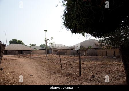 Zone rurale, Priame, région de Bafata, Guinée-Bissau - clôture soignée; route de boue bien entretenue; papaye; huttes de boue; Afrique Banque D'Images