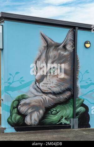 The Cat Clinic Street Art, New Town, Tasmanie, Australie Banque D'Images