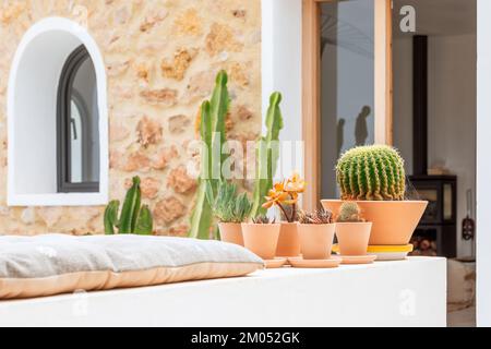 Des cactus et des succulentes en pot bordent un banc de patio à Ibiza, en Espagne, à côté d'une fenêtre en arcade dans un mur de pierre et d'une porte ouverte révélant une cheminée. Banque D'Images