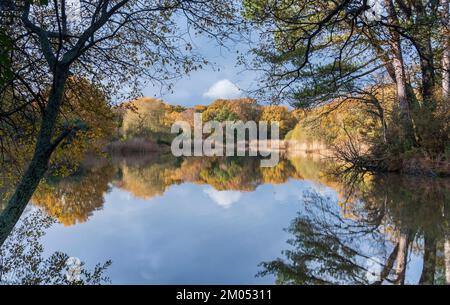 Couleurs d'automne au lac ornemental, Southampton Common, Hampshire, Royaume-Uni Banque D'Images