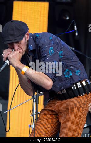 Joueur d'harmonica du groupe de rock Johnny Montreuil sur scène Banque D'Images