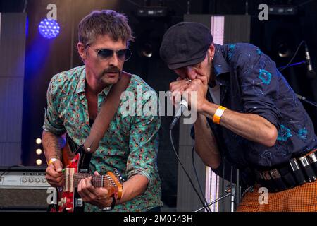 Joueur d'harmonica et guitariste du groupe de rock Johnny Montreuil sur scène Banque D'Images