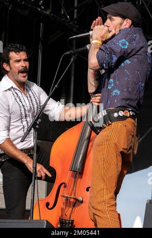 Double bassiste et chanteur, harmonica du groupe de rock Johnny Montreuil sur scène Banque D'Images