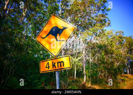 Un panneau Beware of Kangaroos en Australie Banque D'Images