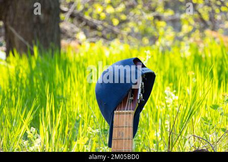 casquette de baseball bleue suspendue sur une vieille guitare se tient sur un fond d'herbe Banque D'Images