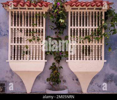 Fenêtres coloniales blanches avec barres en bois sur bâtiment bleu à Cartagena de Indias, Colombie Banque D'Images