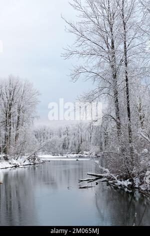 La rivière Snoqualmie qui coule le long des arbres avec de la neige fraîche tombe sur les branches et le bord de la rivière en hiver Banque D'Images