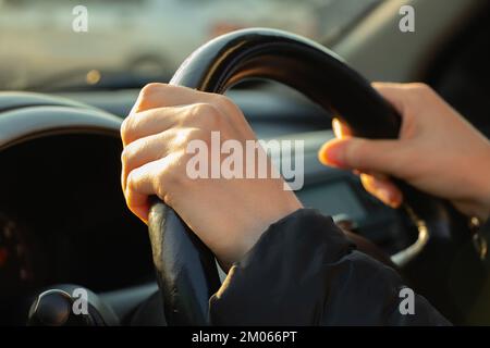 mains sur le volant à l'intérieur de la voiture dans l'après-midi Banque D'Images