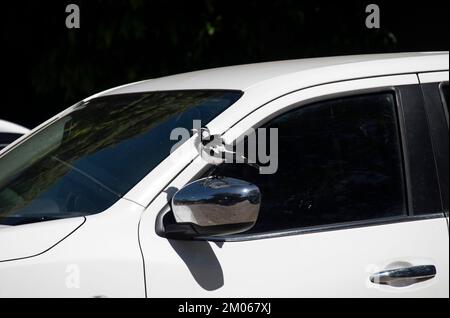 Un jeune Magpie-Lark australien (Grallina cyanoleuca) perçant sur une voiture à Sydney, Nouvelle-Galles du Sud, Australie (photo de Tara Chand Malhotra) Banque D'Images