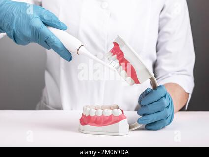 Dentiste utilisant une brosse à dents électrique sur le modèle de fausses dents artificielles de mâchoire. Soins dentaires, traitement, hygiène dentaire buccale avec brosse. Photo de haute qualité Banque D'Images