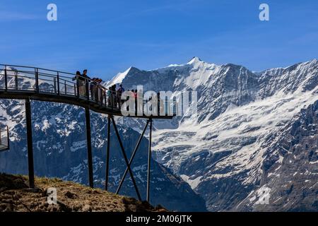 Les personnes debout dans la ligne prennent leur photo à la première falaise de Grindelwald en Suisse. Les Alpes avec de la glace glaciaire sur elle peut être vu en arrière-plan Banque D'Images