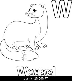 Weasel Animal Alphabet ABC coloration isolée W Illustration de Vecteur