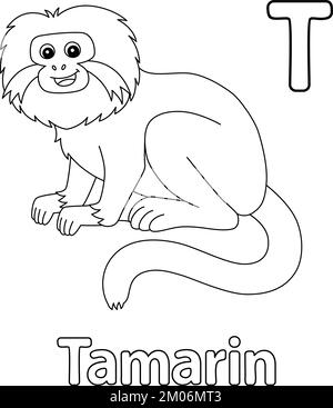 Tamarin Animal Alphabet ABC coloration isolée T Illustration de Vecteur