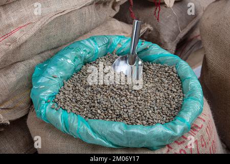 Grains de café verts. Café cru versé d'une poignée dans un sac, sur l'arrière-plan d'un entrepôt, vue de côté de gros plan. Banque D'Images