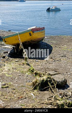 Bateaux de pêche à Golfo de Ancud - Castro Bay, île Chiloo dans le district des lacs du Chili. 16th février 2014 - Castro, Chili, Amérique du Sud Banque D'Images