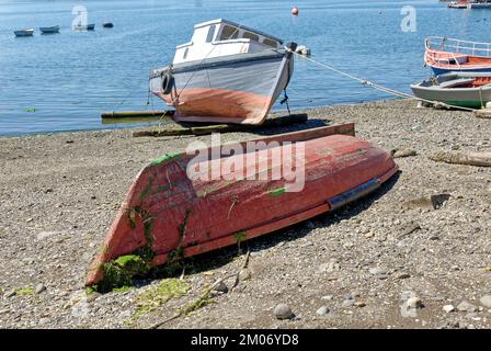 Bateaux de pêche à Golfo de Ancud - Castro Bay, île Chiloo dans le district des lacs du Chili. 16th février 2014 - Castro, Chili, Amérique du Sud Banque D'Images