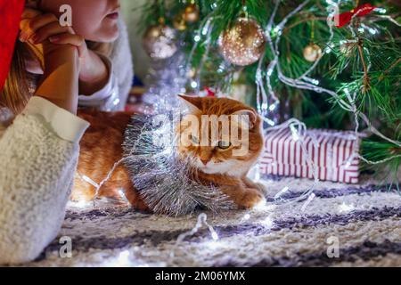 Fête de Noël avec chat. Femme admirant le décor de l'arbre du nouvel an à la maison couverte de guirlande et de lumières. Fêtez les fêtes de fin d'année Banque D'Images