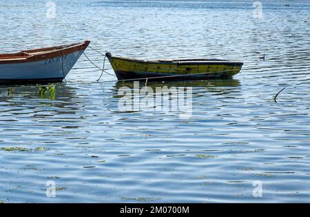 Bateaux de pêche à Golfo de Ancud - Castro Bay, île Chiloo dans le district des lacs du Chili. 16th février 2014 - Castro, Chili, Amérique du Sud Banque D'Images