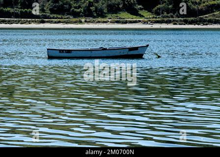 Bateaux de pêche à Golfo de Ancud - Castro Bay, île Chiloo dans le district des lacs du Chili. 16th février 2014 - Castro, Chili, Amérique du Sud Banque D'Images