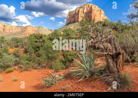 Courhouse Butte, près de Sedona, Arizona, États-Unis, octobre, Par Dominique Braud/Dembinsky photo Assoc Banque D'Images