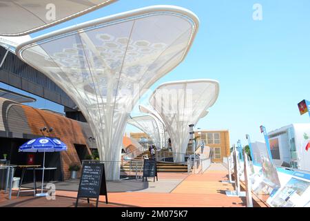 Cinq lampes solaires pour arbres du pavillon allemand de l’EXPO Milano 2015, appelées “plants d’idée”, utilisent des modules photovoltaïques organiques (OPV) impressionnés par les films. Banque D'Images