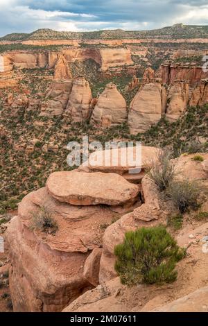 Les fours à coke. Monument national du Colorado, près de Fruita, Colorado, États-Unis, fin septembre, Par Dominique Braud/Dembinsky photo Assoc Banque D'Images