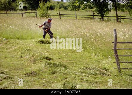 Comté de Prahova, Roumanie, environ 1990. Homme coupant de l'herbe à l'aide d'un scythe. Banque D'Images