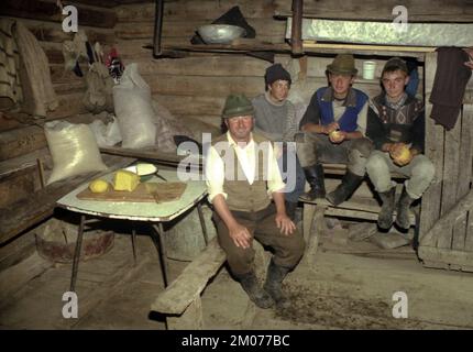 Comté de Prahova, Roumanie, mai 1990. Bergers à l'intérieur de leur cabane, faisant le traditionnel 'bulz': Polenta en balles et rempli de fromage frais. Banque D'Images