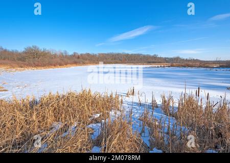 Marais humide en hiver dans la zone naturelle de l'État de Volo Bog en Illinois Banque D'Images